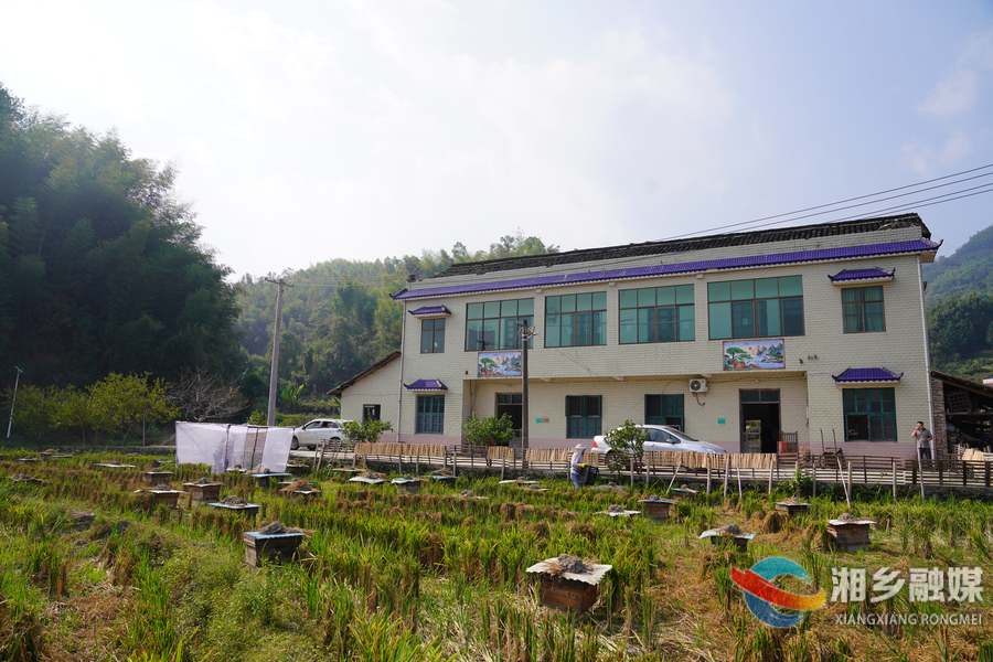 湘乡：金秋摇蜜忙 蜂农采收甜