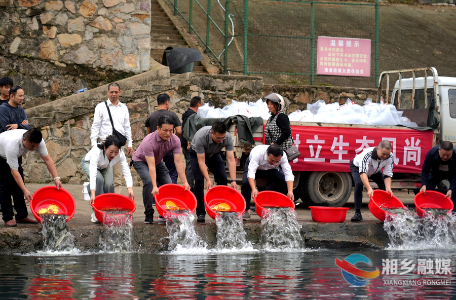 湘乡增殖放流90万尾鱼苗