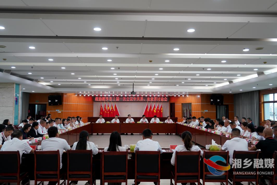 谭何龙等市领导参加各界别委员联组协商讨论