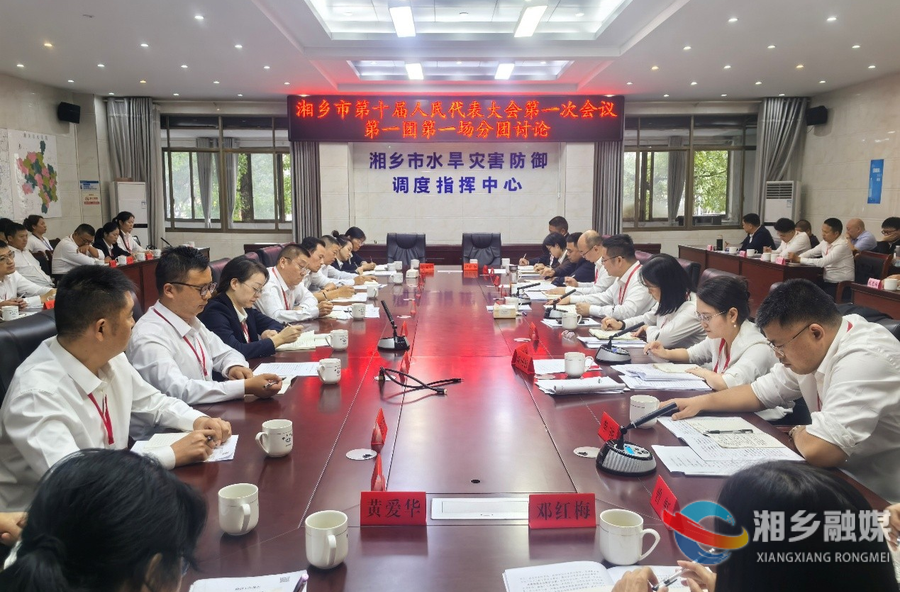 谭何龙 唐宁等市领导参加各代表团分团审议