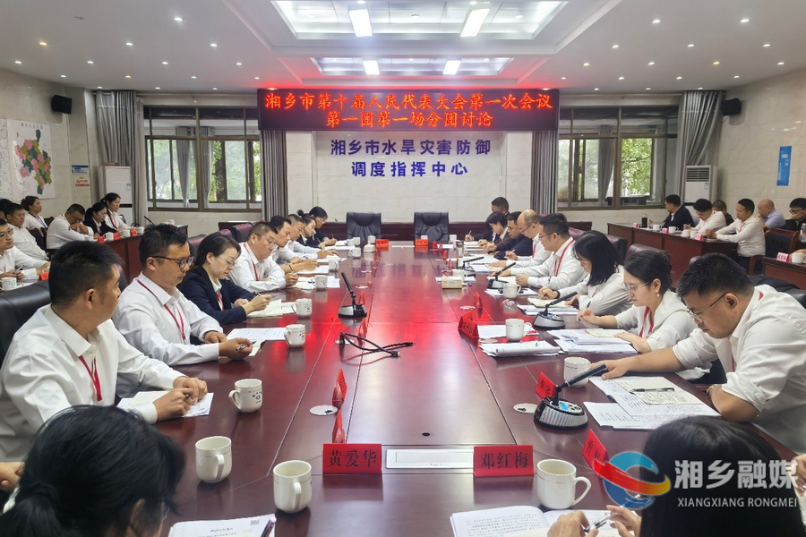 谭何龙 唐宁等市领导参加各代表团分团审议
