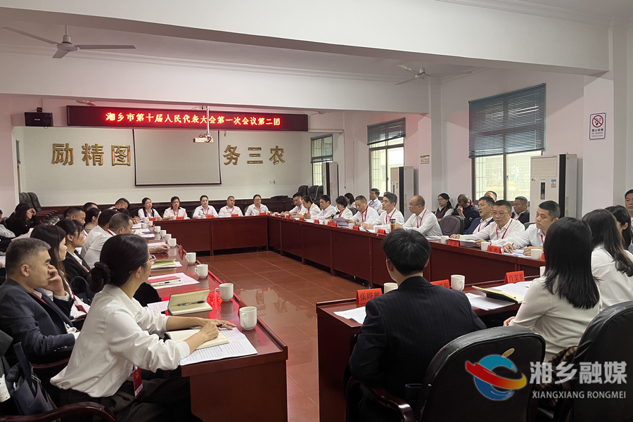 市人大代表分团审议市人大常委会和“两院”工作报告
