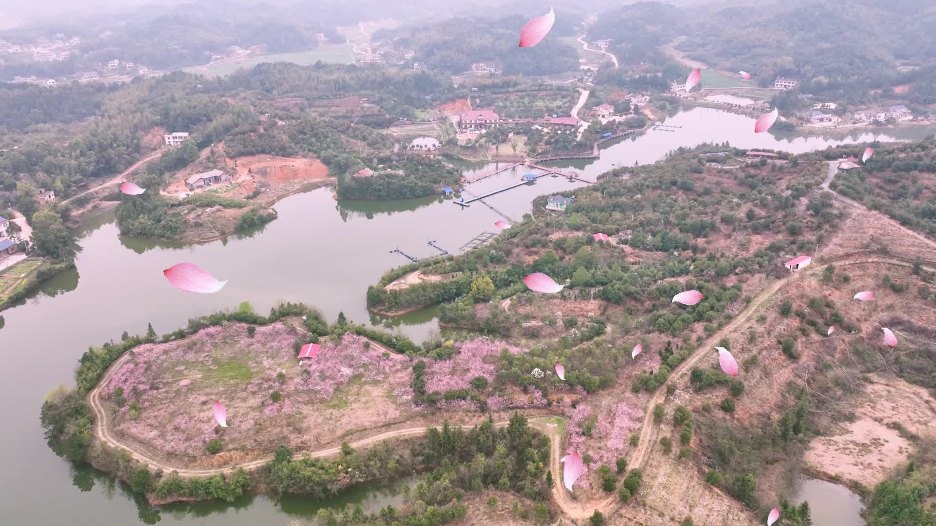 湖南湘乡 桃花盛开惹人醉