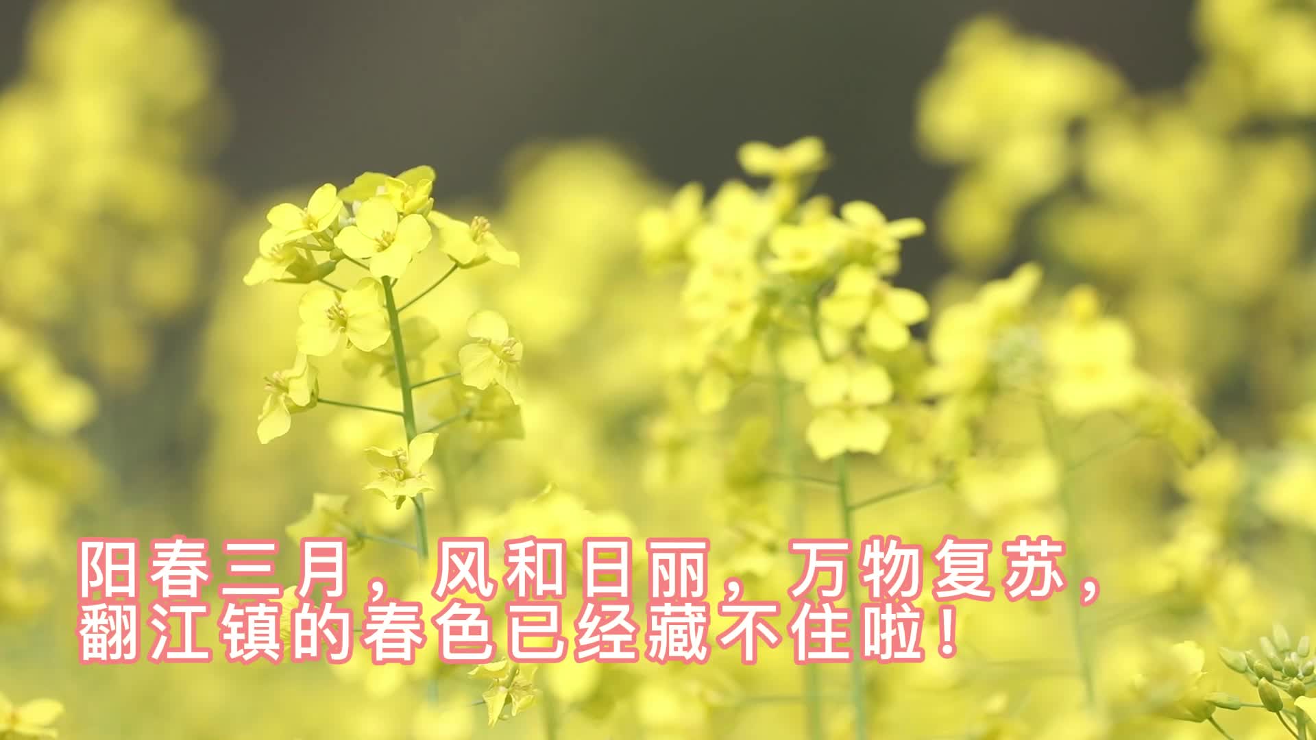 春日相约翻江 一键开启看海模式