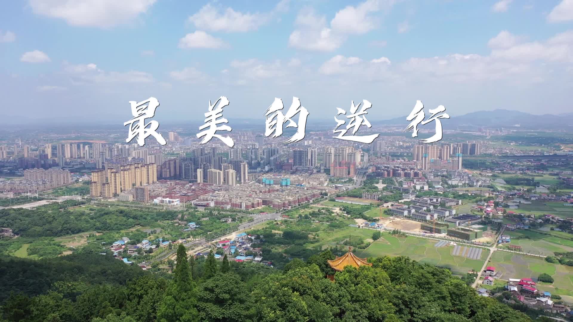 最美的逆行