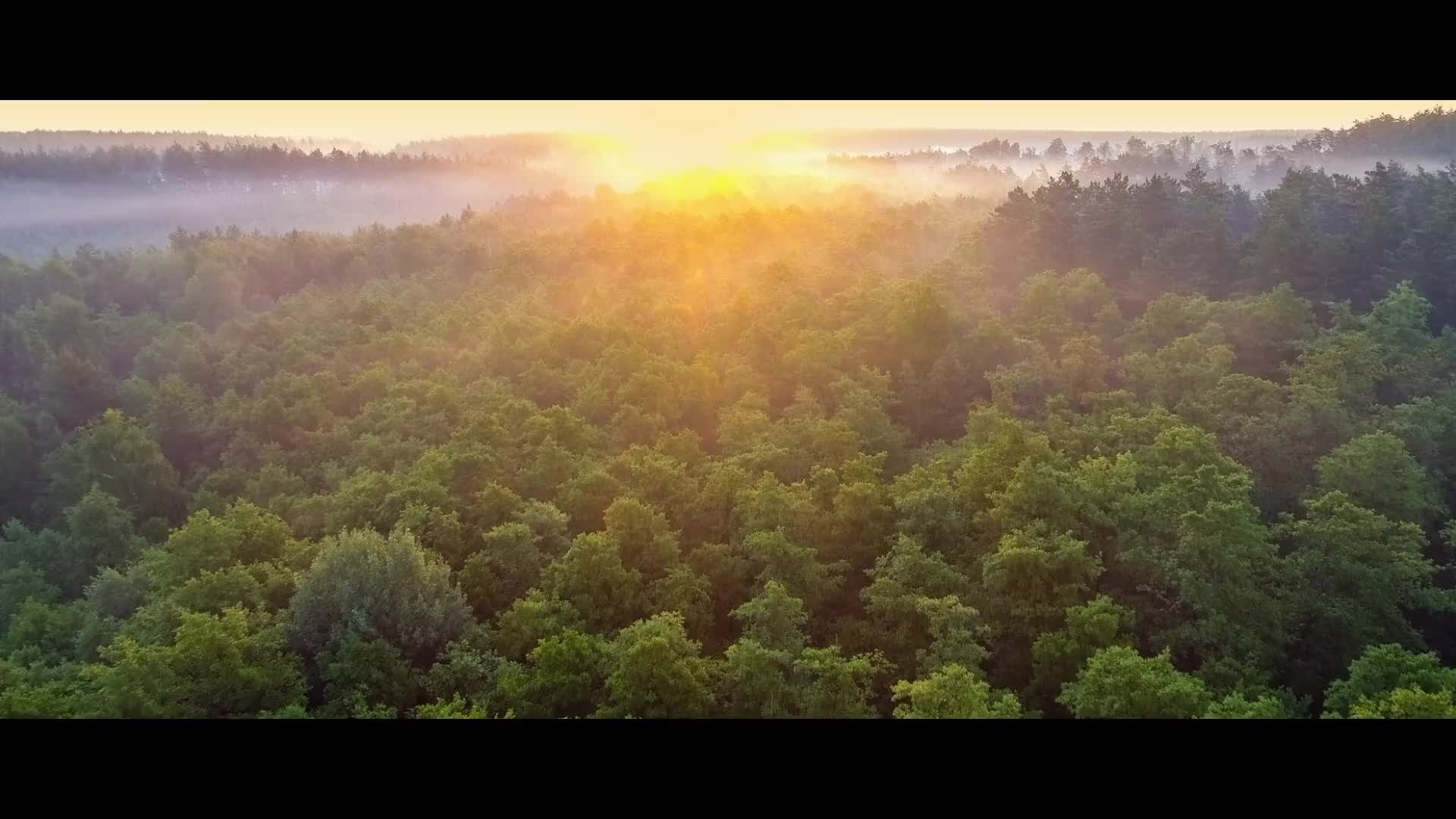 新闻记者形象宣传片