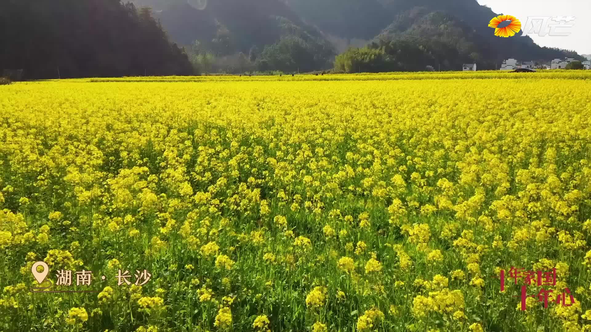 十年家国十年心 | 钱论文把“论文”写在大地上