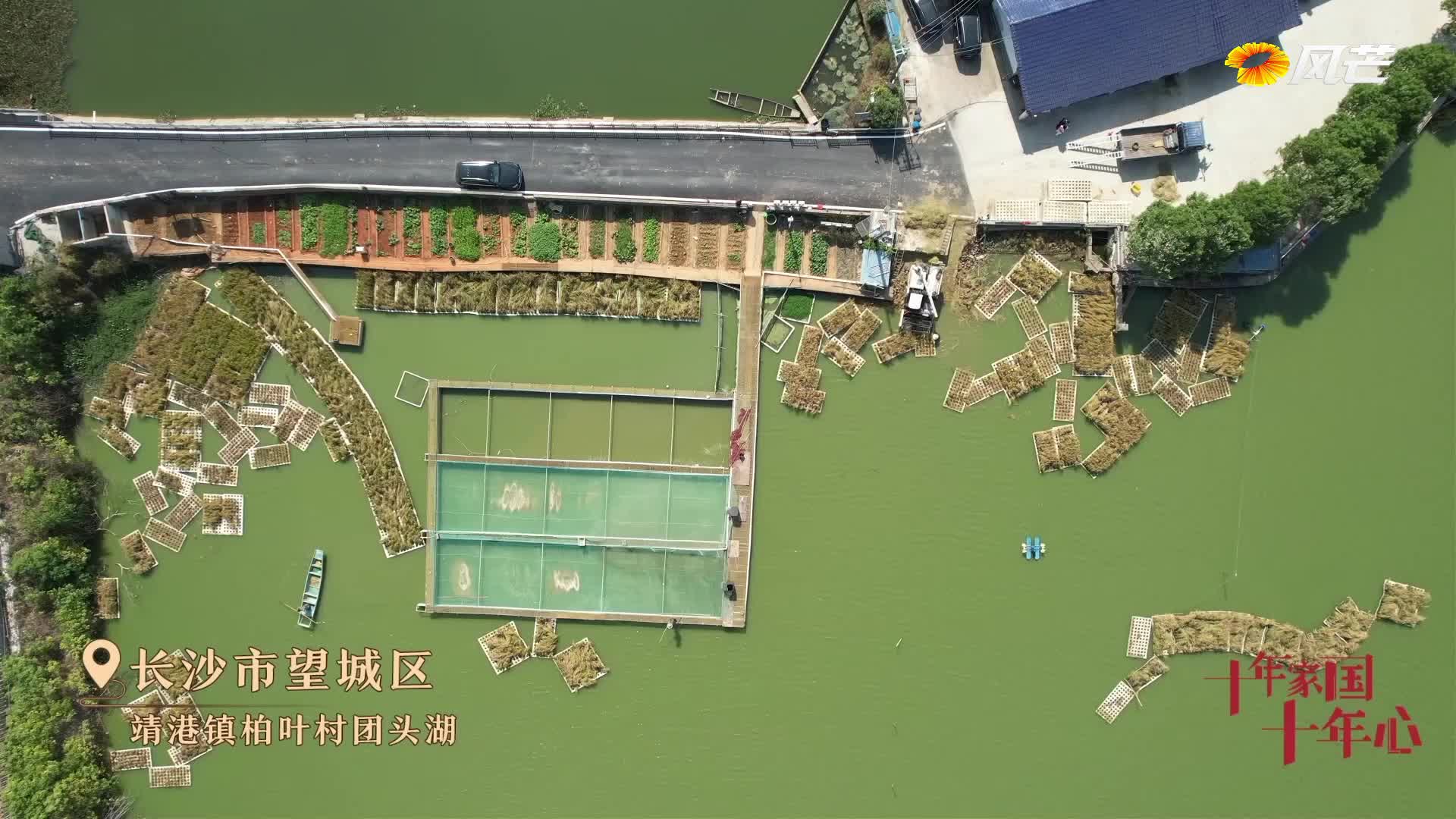 十年家国十年心 | 在湖上种水稻的农民