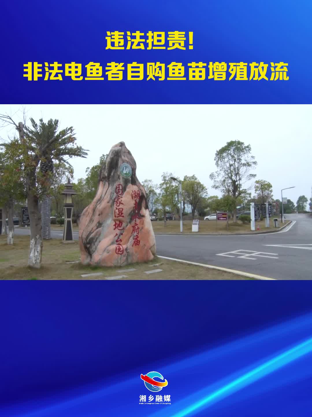 违法担责！非法电鱼者自购鱼苗增殖放流