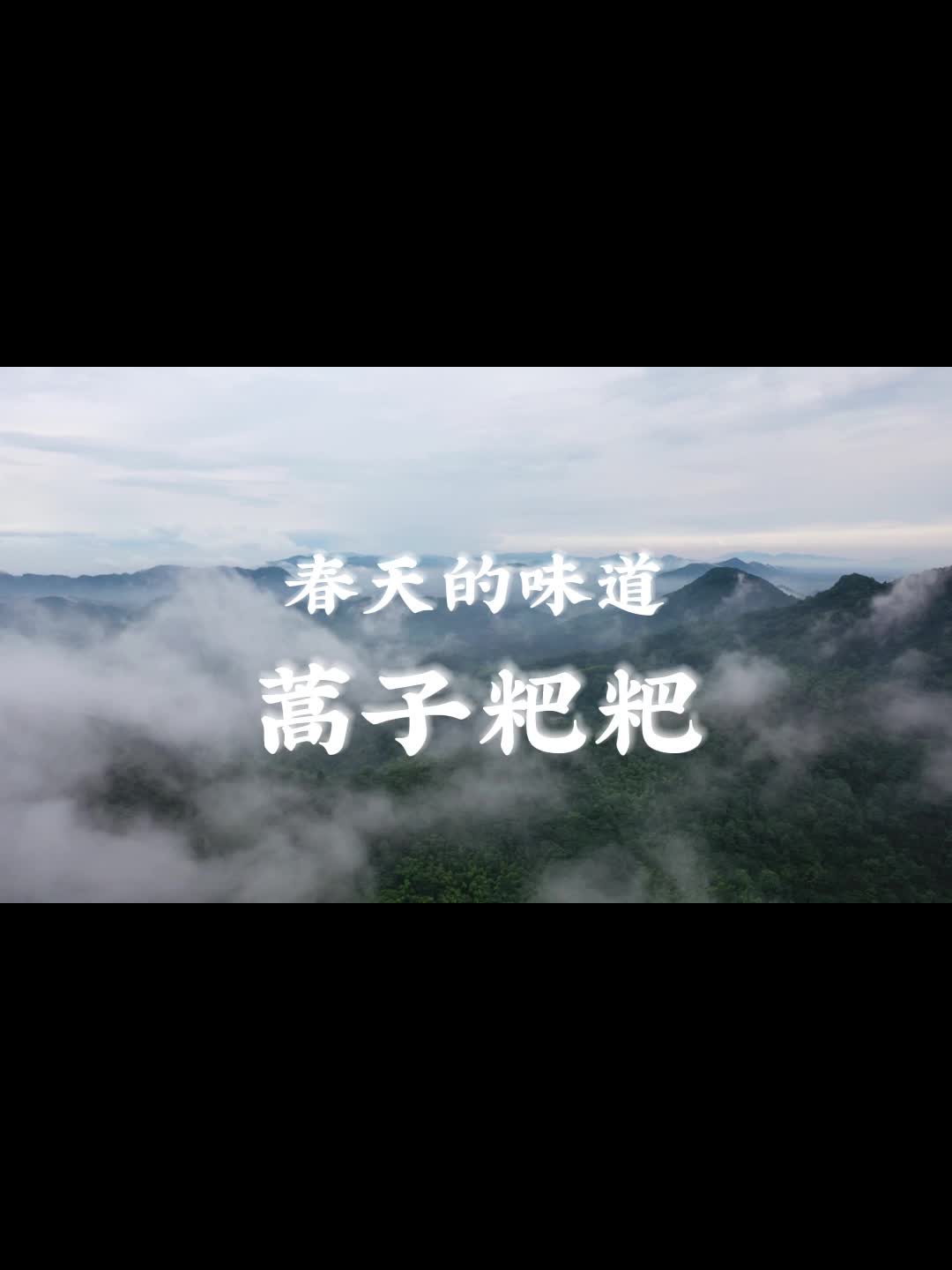 春天的味道｜蒿子粑粑