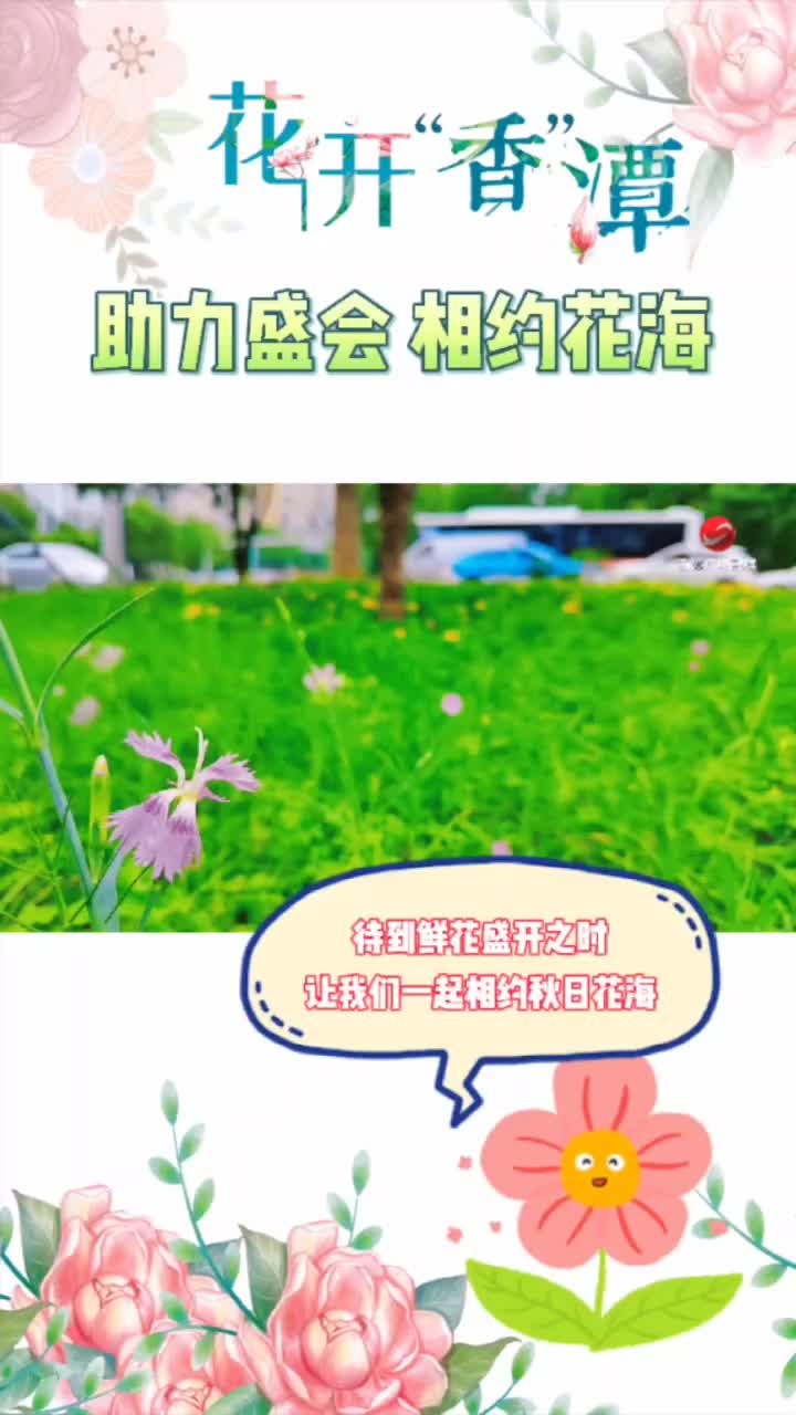 湖南省第二届花博会 | 助力盛会 相约花海
