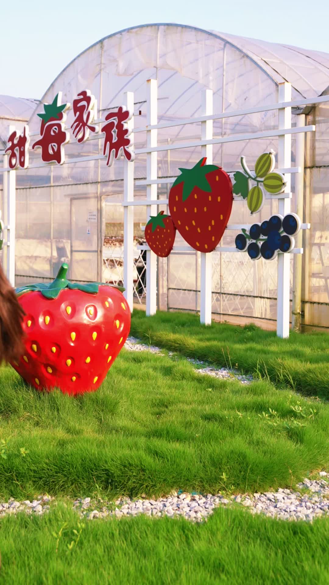 2024株洲·渌口龙舟邀请赛，“最美汉服小姐姐”是你吗？