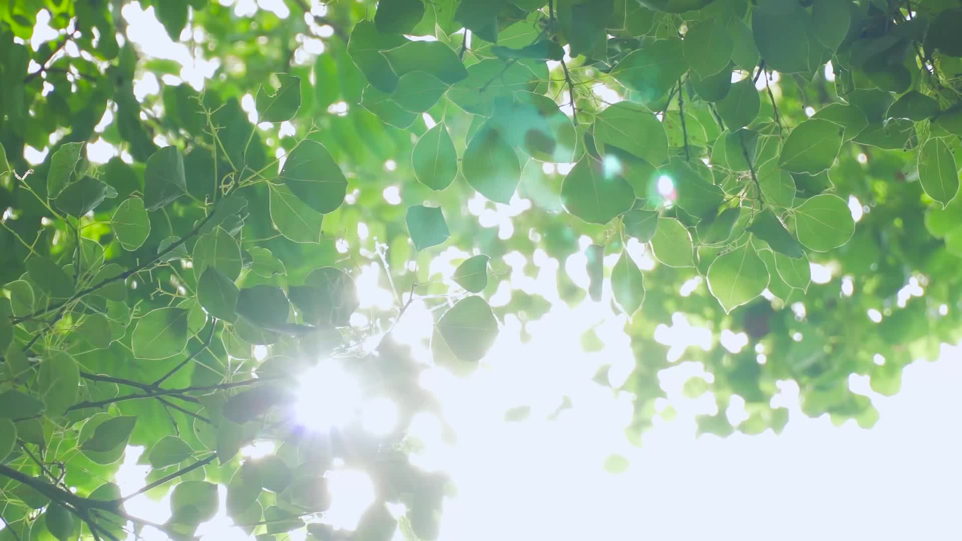答卷人！第40个教师节：致敬每一位学生成长路上的引路人