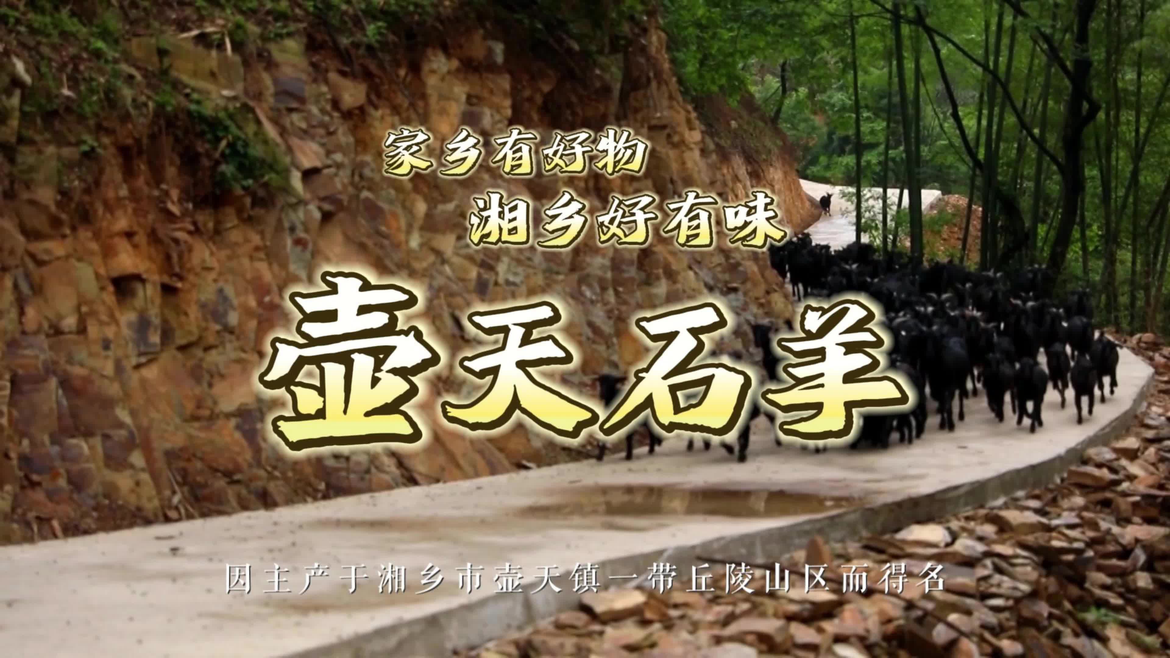 湘乡有好物 家乡有好味 | 壶天石羊