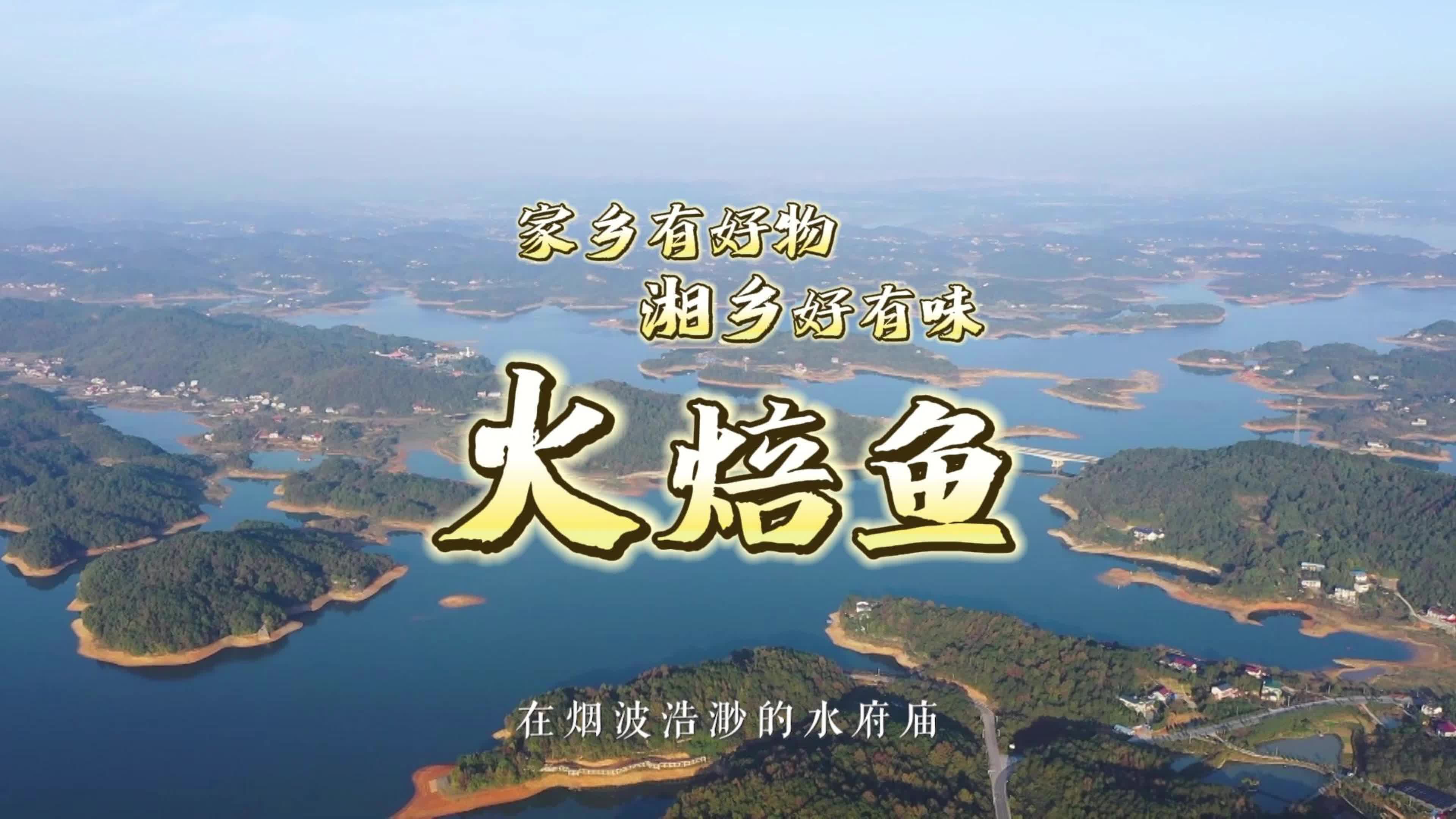 湘乡有好物 家乡有好味 | 火焙鱼