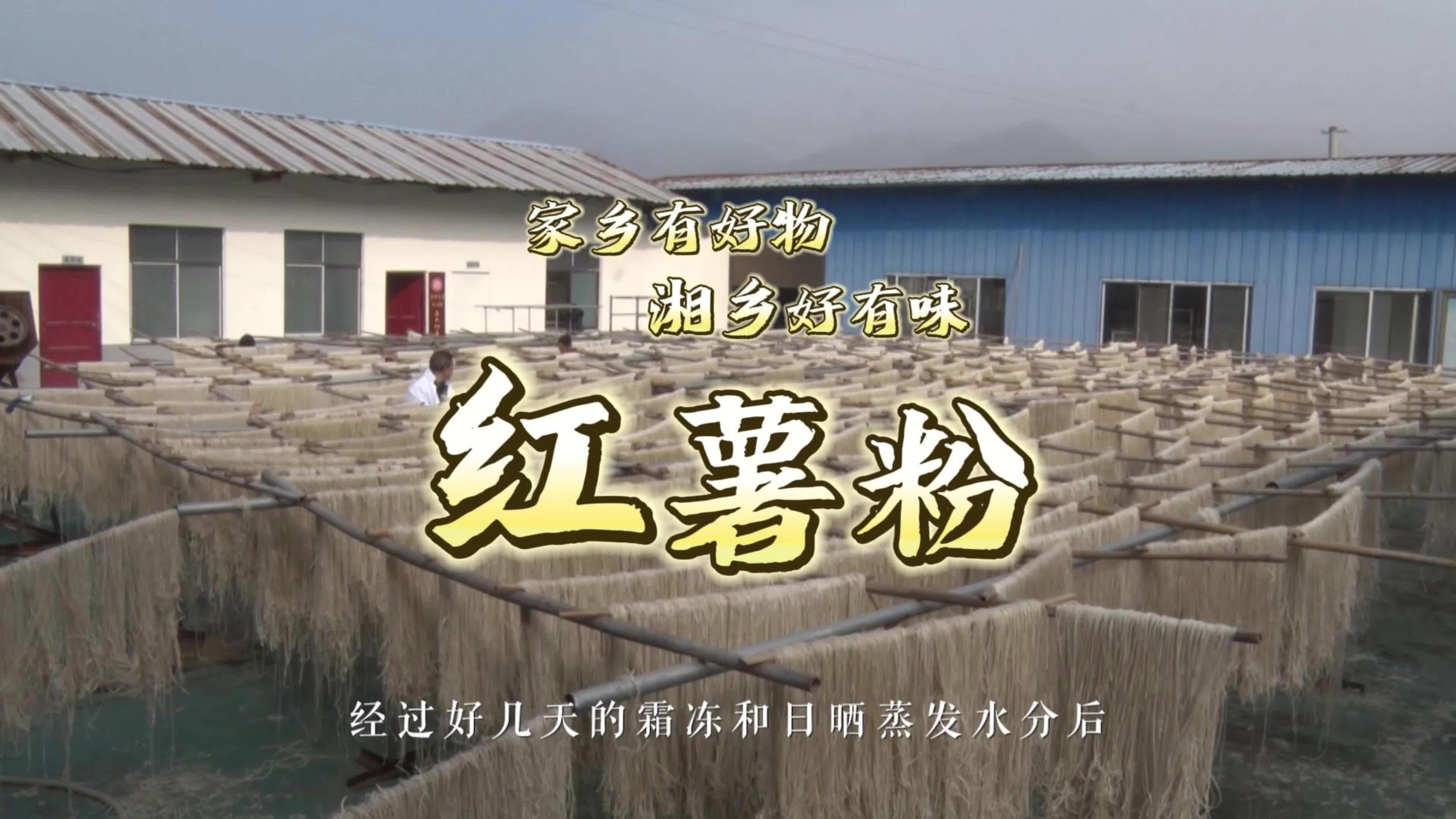 湘乡有好物 家乡有好味 | 红薯粉