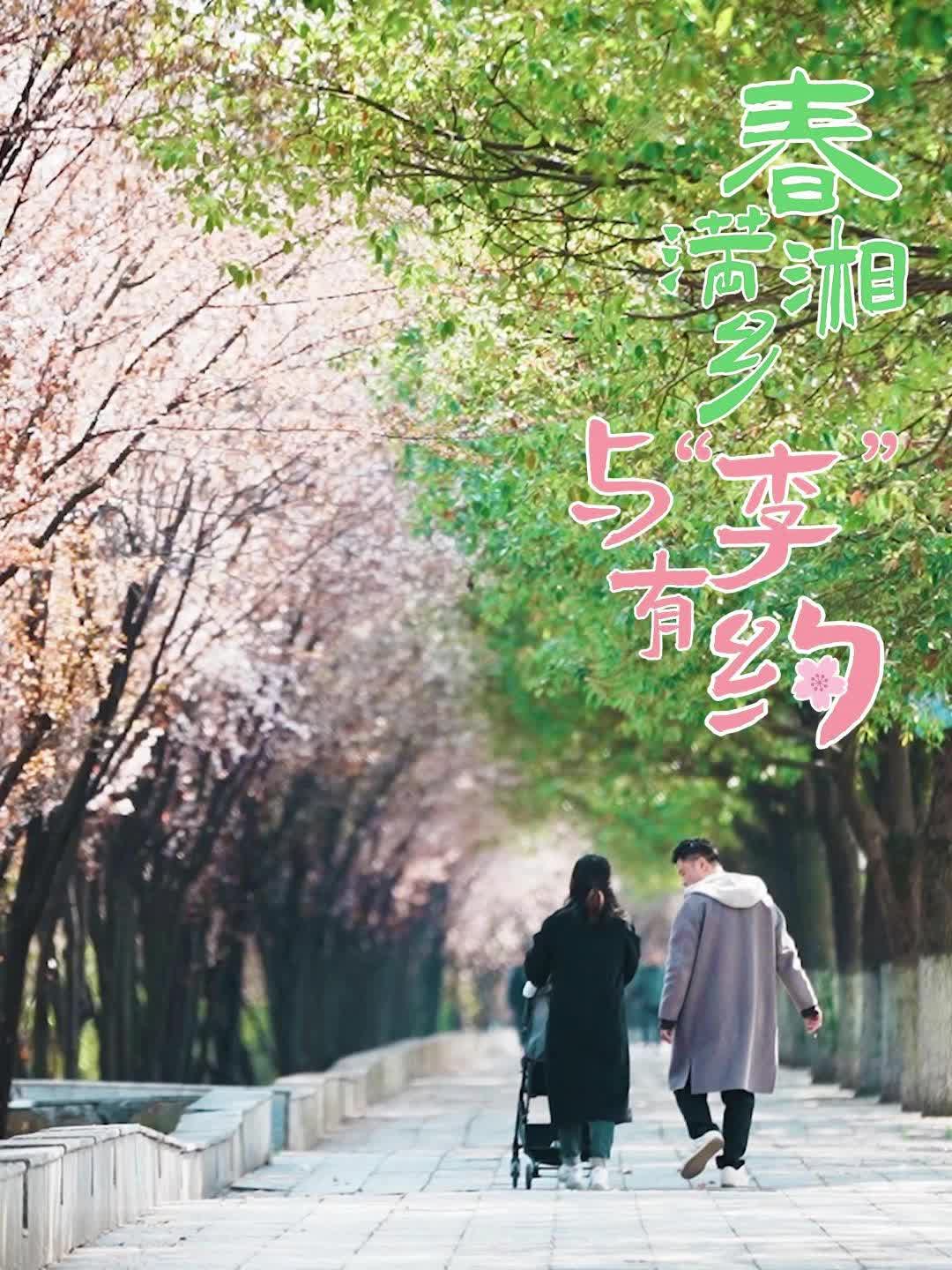 春满湘乡 与“李”有约