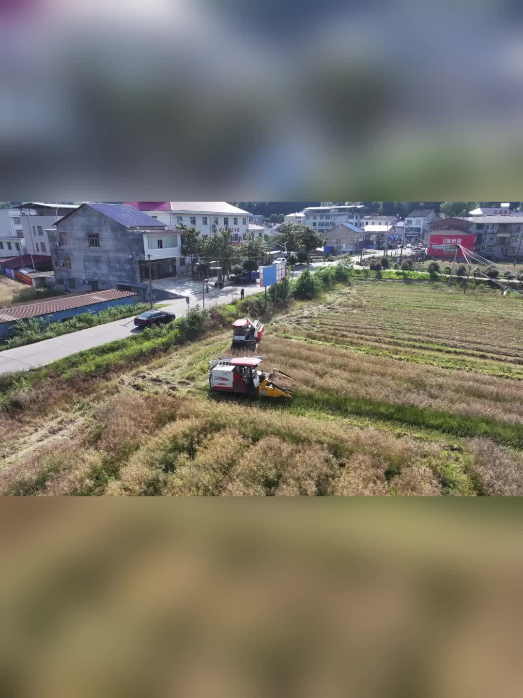 湘乡：22万余亩油菜喜迎丰收 机械化助力高效收割