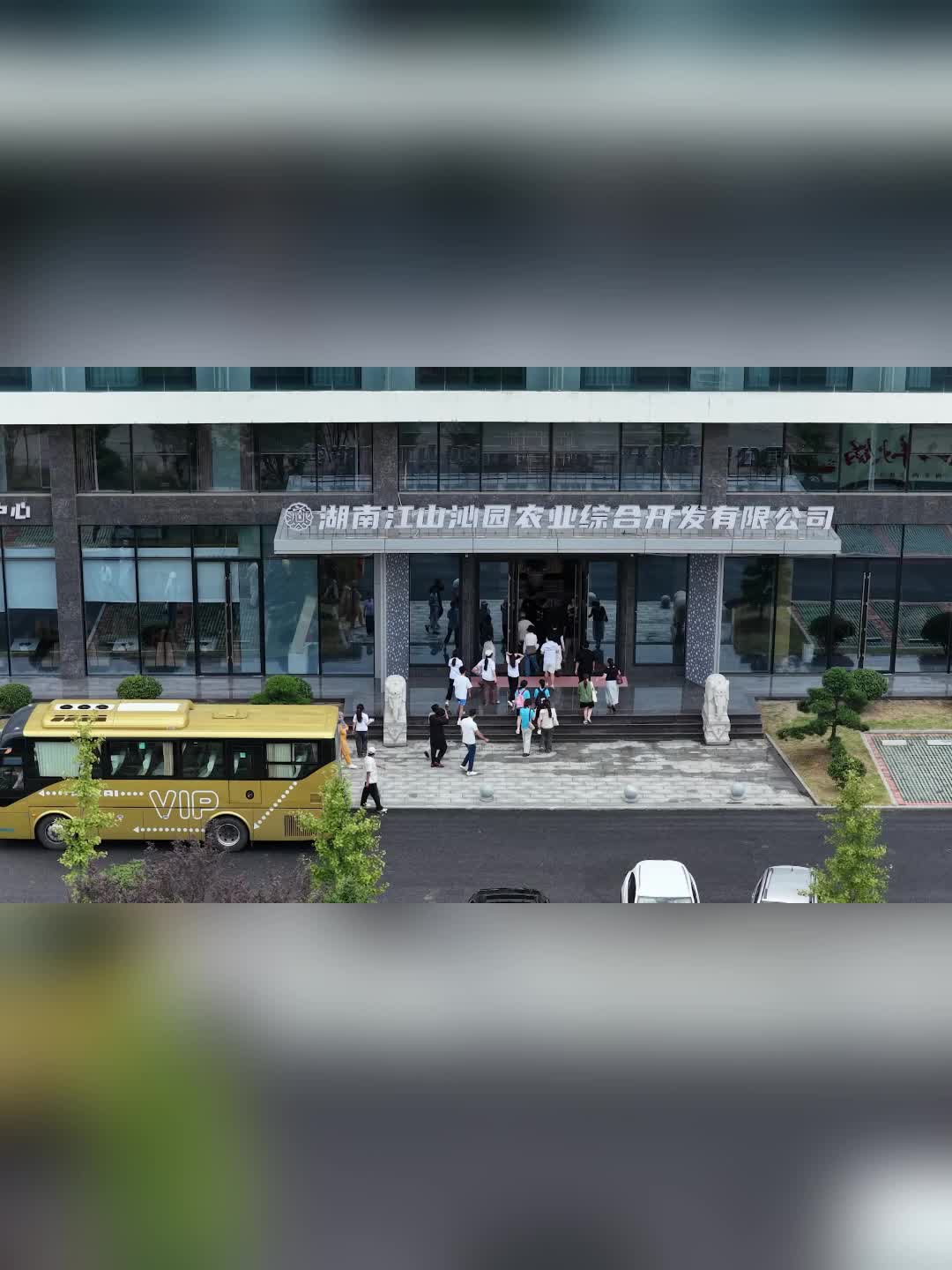 留学生走进江山沁园探秘中国茶油