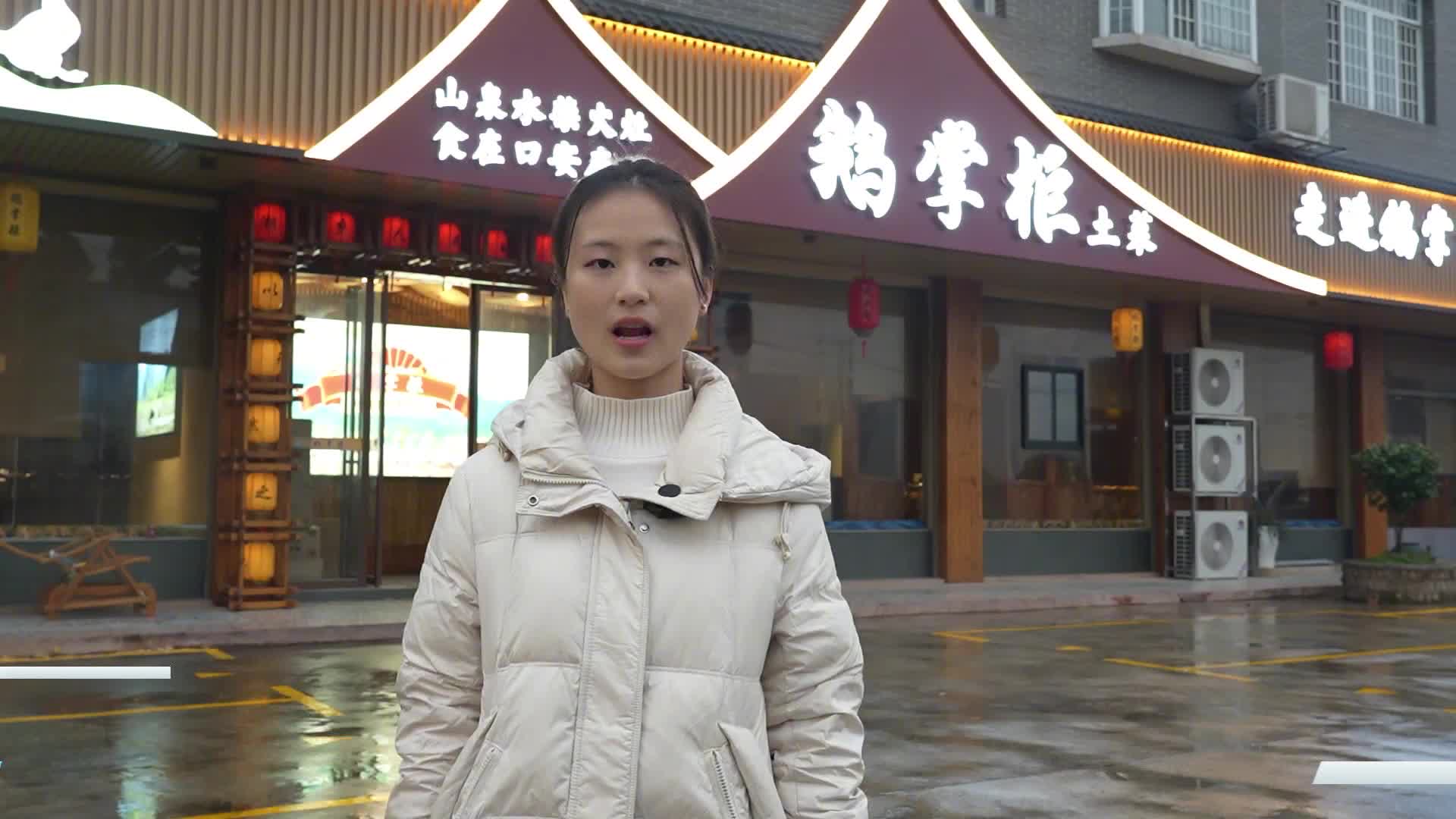 【湘乡味 才对味】鹅掌柜：一鹅四吃