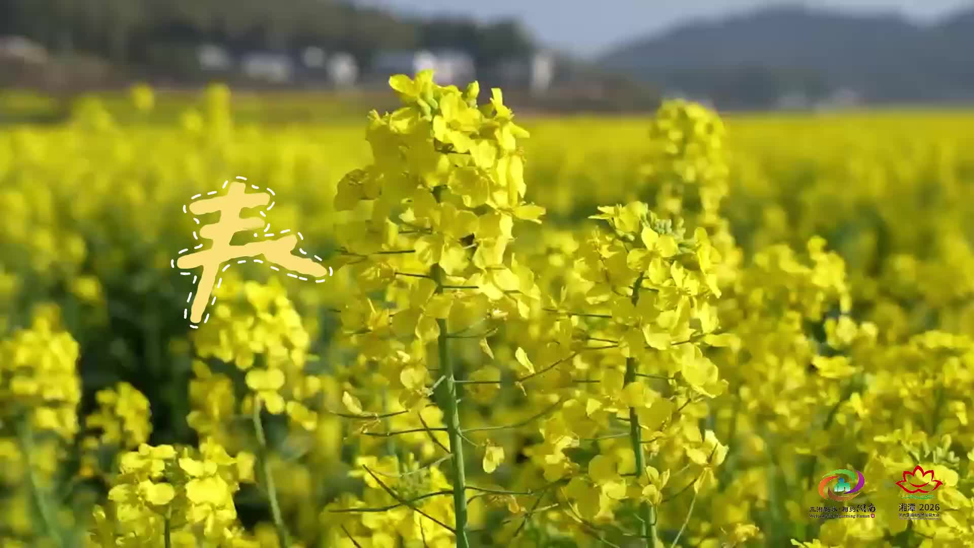 春天来湘乡赏花