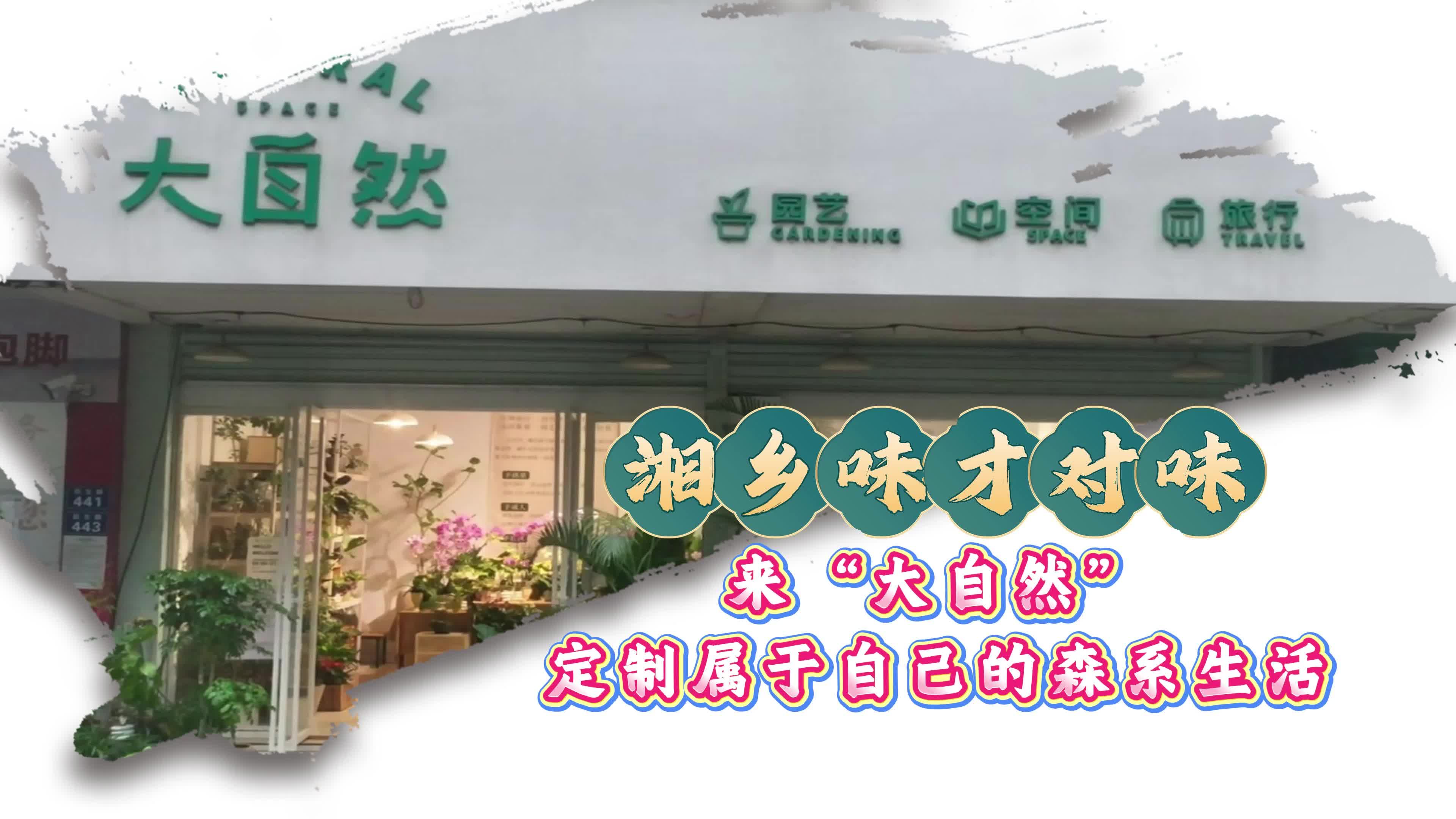 【湘乡味 才对味】来“大自然” 定制属于自己的森系生活