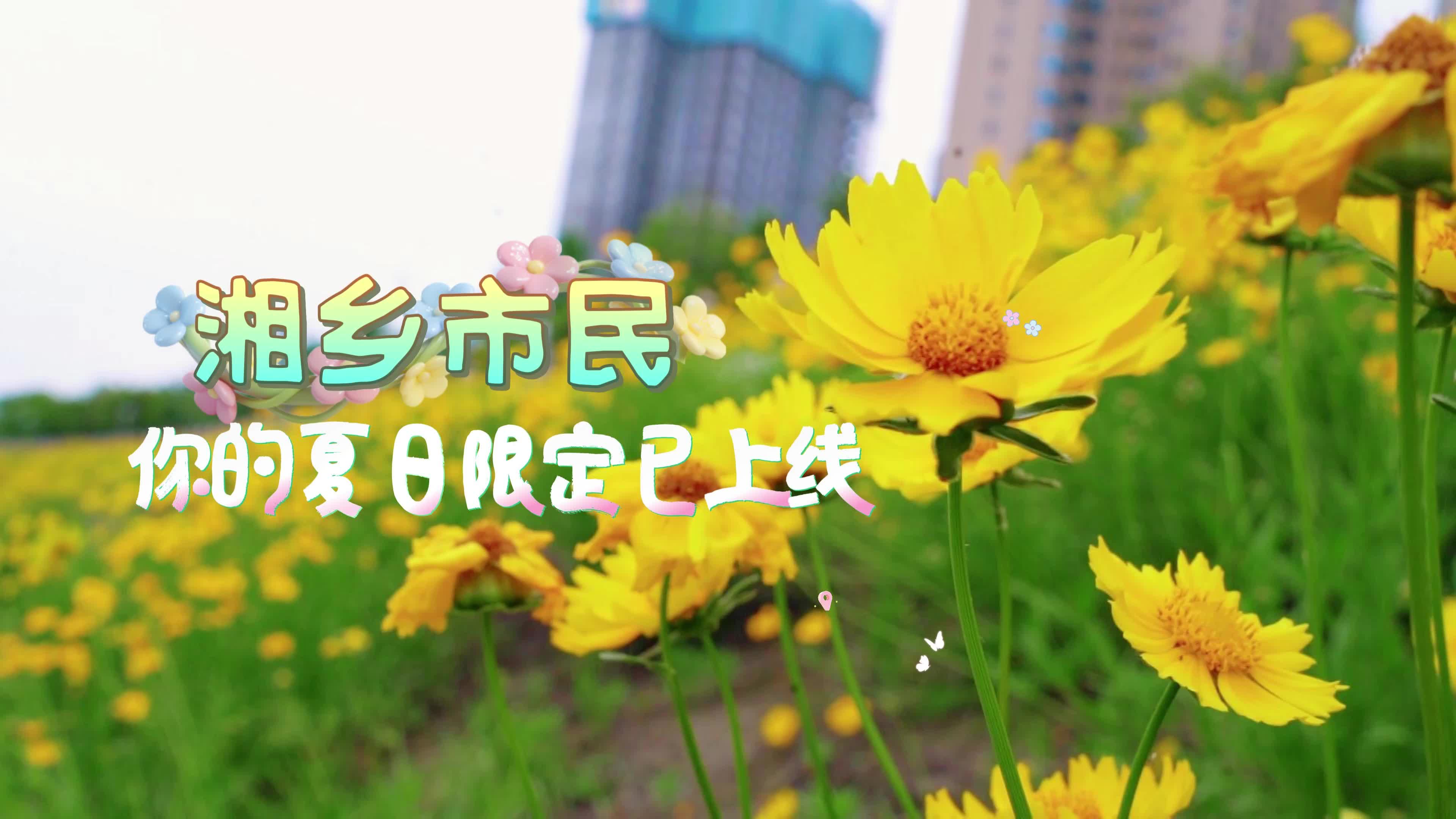 湘乡市民 你的夏日限定已上线