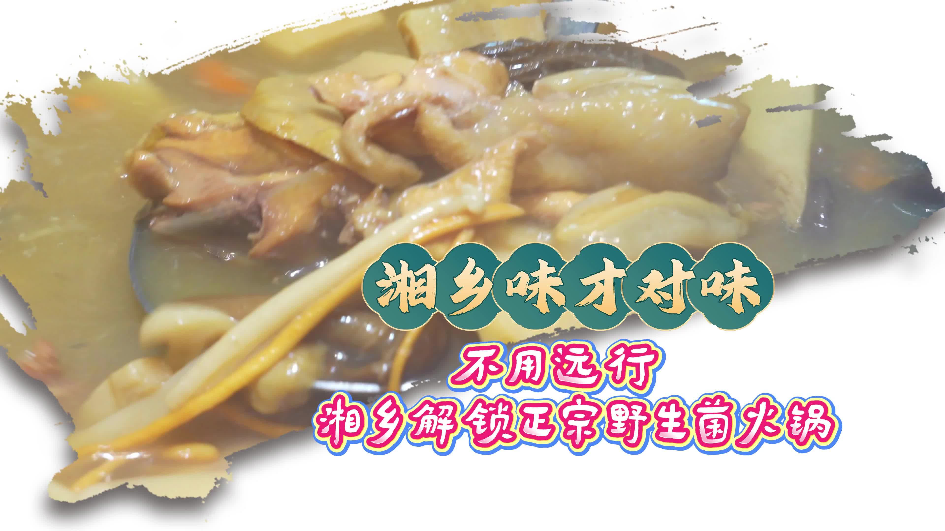 【湘乡味 才对味】不用远行 湘乡解锁正宗野生菌火锅