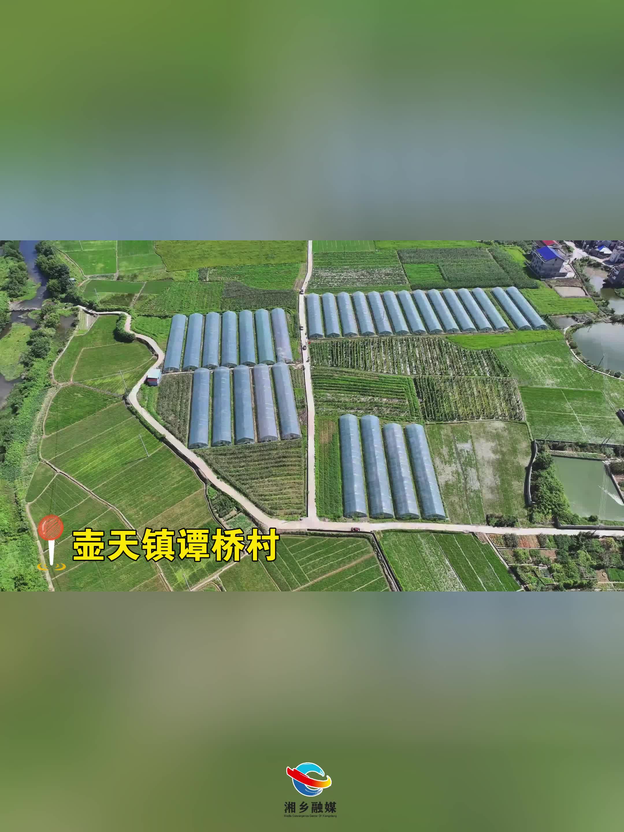 求助! 一万公斤樟树港辣椒急寻销路 壶天镇这位种植户急需您的援手