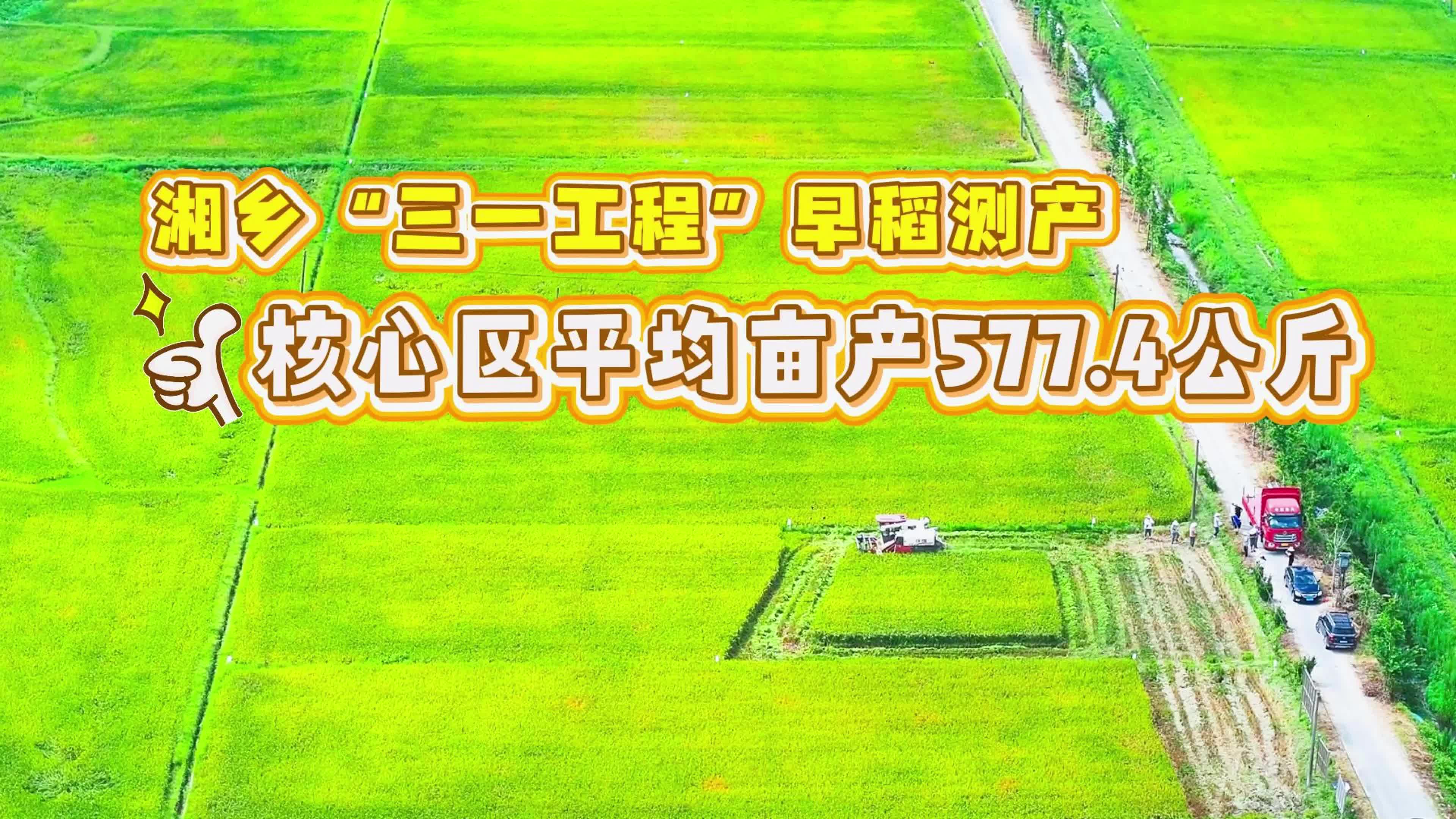 湘乡三一工程早稻测产 核心区平均亩产577.4公斤