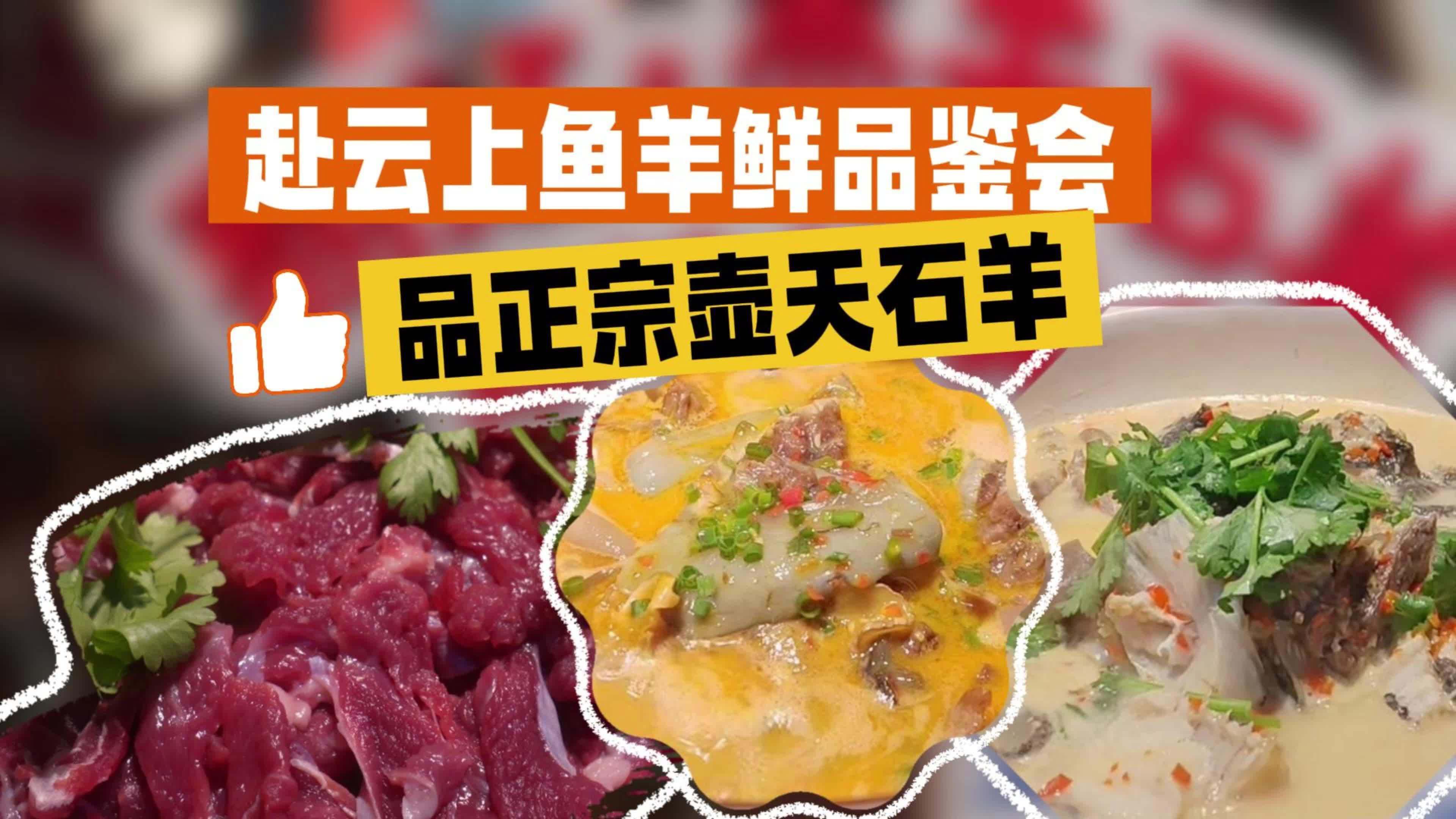 赴云上鱼羊鲜品鉴会 品正宗壶天石羊
