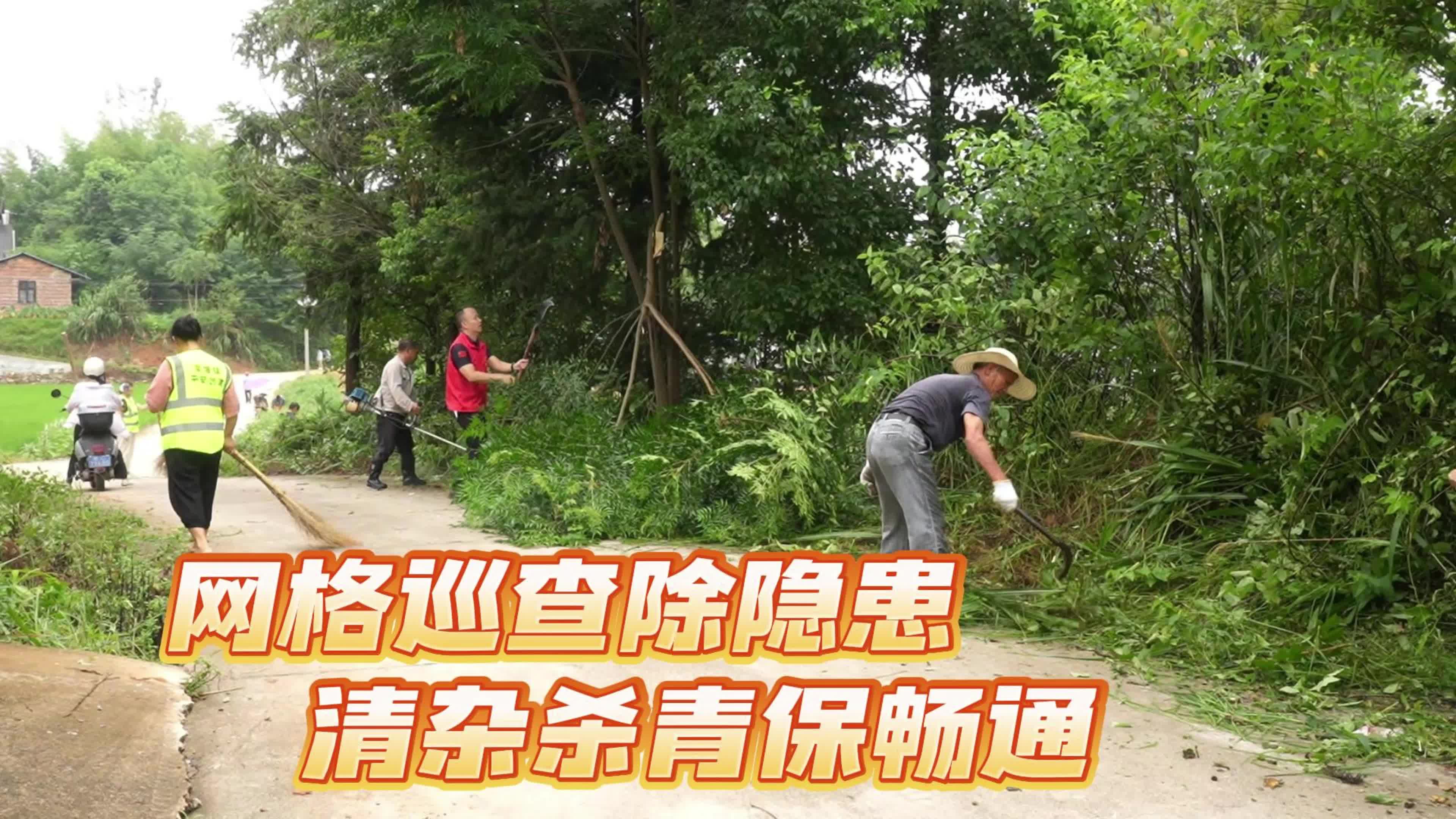 网格巡查除隐患 清杂杀青保畅通
