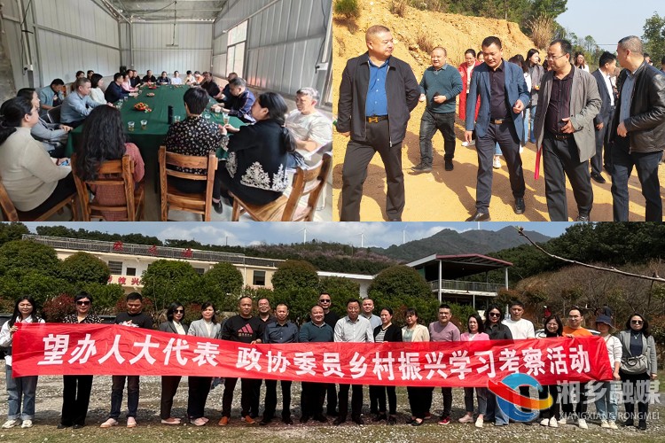 [望春门街道]助力乡村振兴 人大代表、政协委员开展学习考察活动