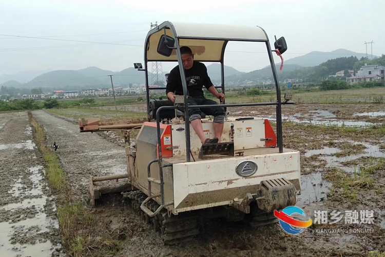 [龙洞镇]多措并举 稳定粮食播种面积