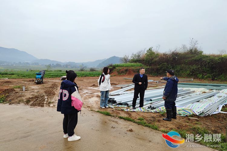 [金石镇]发挥人大力量 助力大棚育秧项目建设