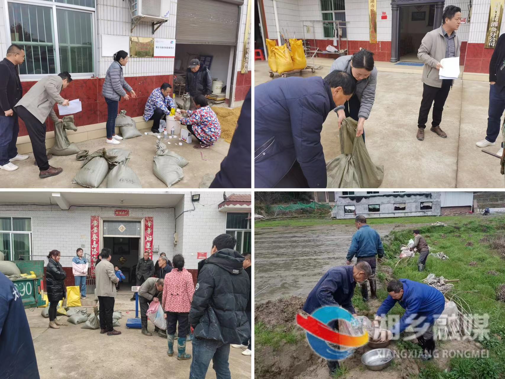 [梅桥镇]人大代表助力春耕生产