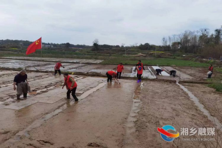 [毛田镇]“主题党日”活动助力春耕生产