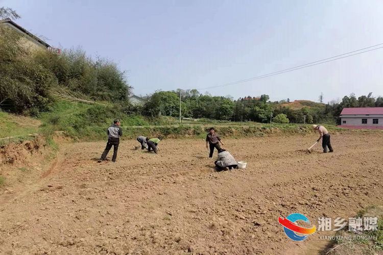 [中沙镇]落实“四敢”要求 勇当乡村振兴“领头雁”