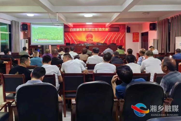 [白田镇]夜校"微党课" 助力粮食生产