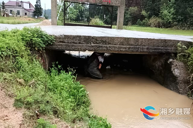 [月山镇]闻“雨”而动 村民代表保春耕防灾害