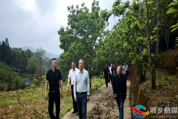 [山枣镇]调研板栗种植  助推乡村振兴