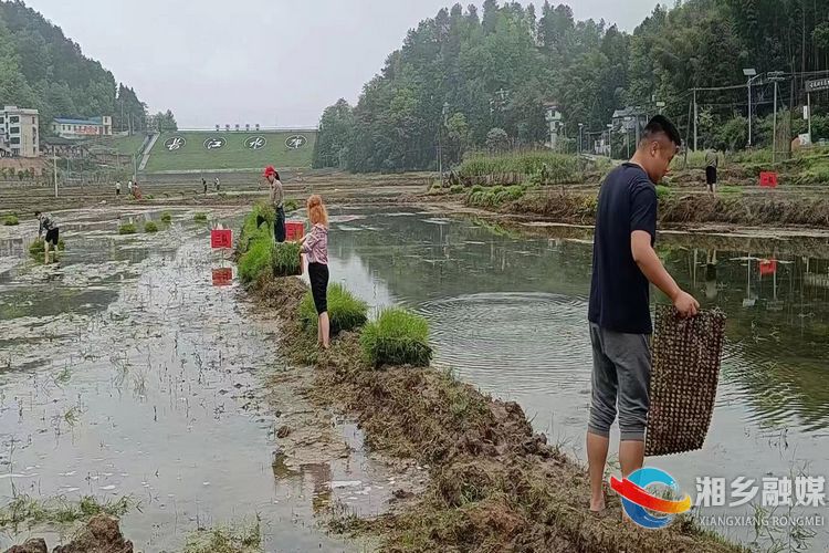 [白田镇]主题党日进田间 助力群众促春耕