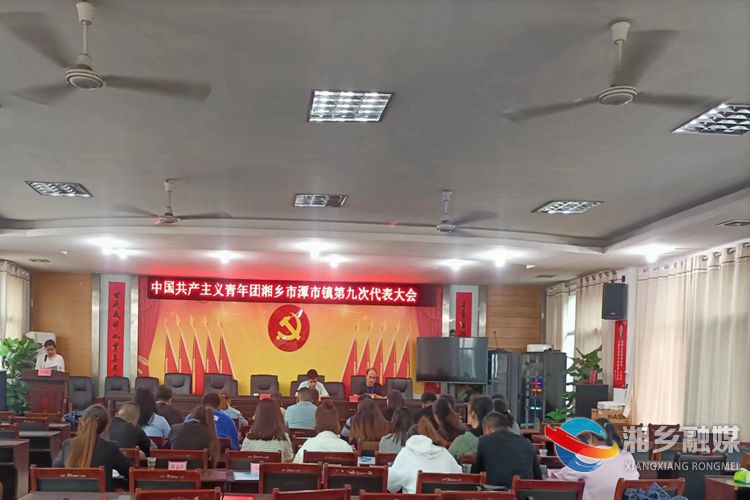 [潭市镇]圆满完成团委换届 用心谱写青春华章