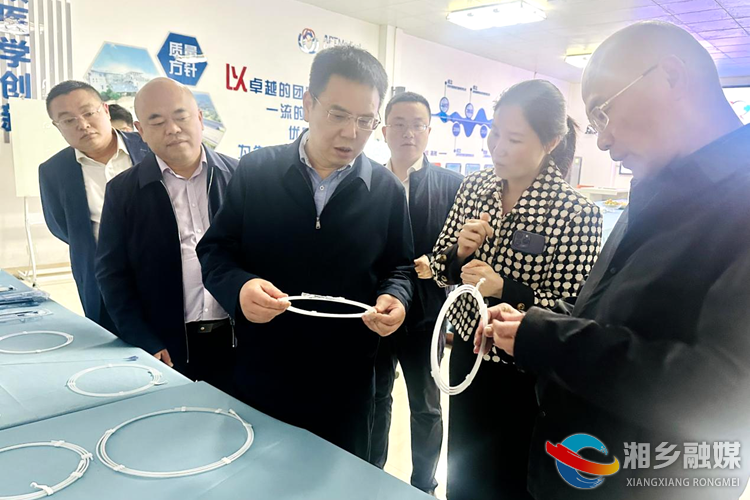 省工信厅副厅长毛六平一行来湘乡指导调研