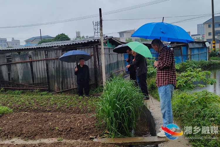 [望春门街道]通农渠保灌溉 解难事畅民心