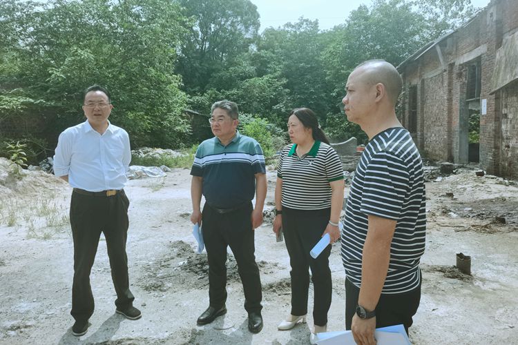 【敢为先 干当头】市人大常委会调研国有资产管理情况