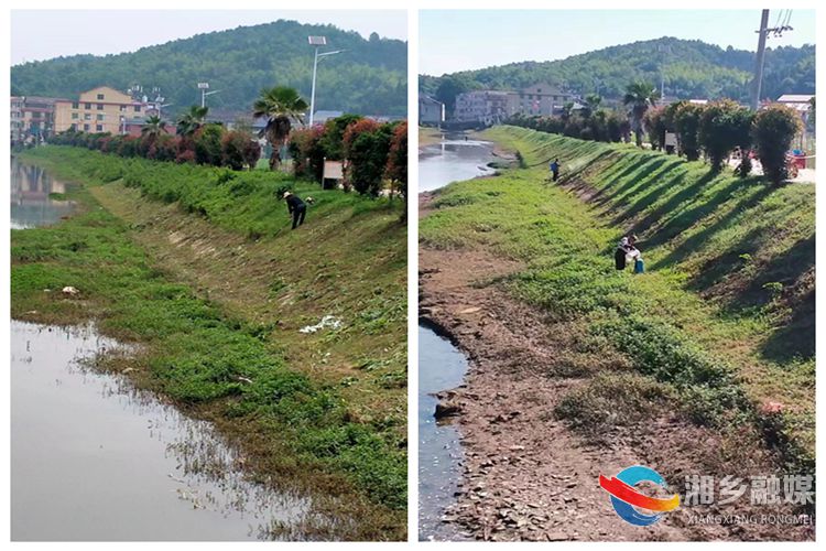 [中沙镇]清理河岸杂草 助推河道水清岸绿