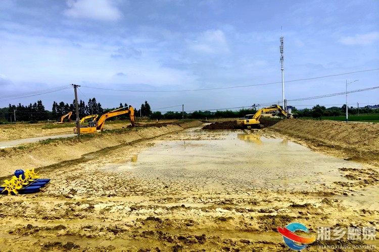 [山枣镇]恢复基本农田 助力耕地保护