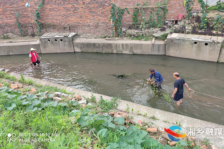 [望春门街道]护河清障 确保行洪安全