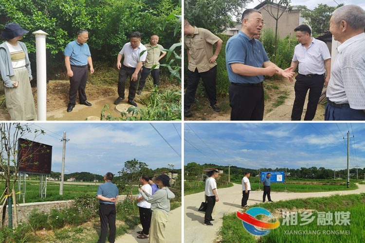 市人大常委会到梅桥镇调研乡村振兴战略实施情况